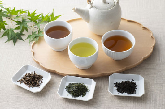 Comment choisir son thé du Japon : guide complet pour trouver le thé qui vous convient