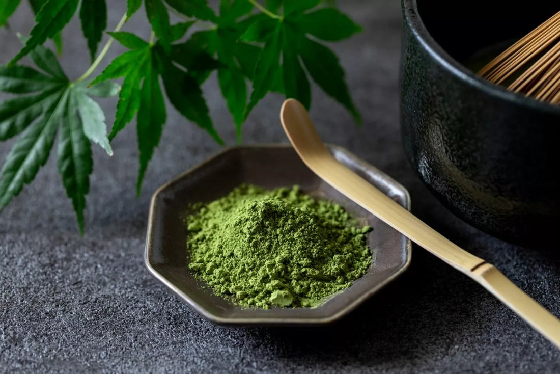 Comment choisir son thé matcha ?