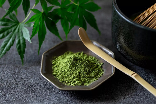 Comment choisir son thé matcha ?