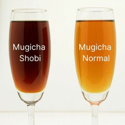 Mugicha – Infusion d’orge grillé