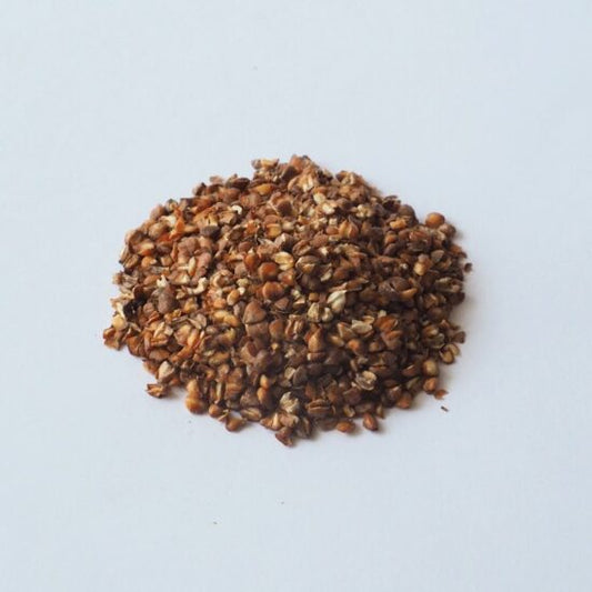 Sobacha – Infusion de sarrasin grillé japonais