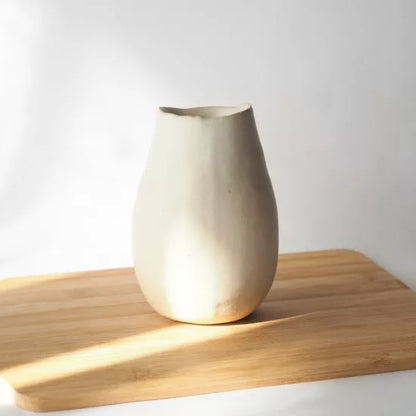 Vase japonais modern Shigaraki-yaki